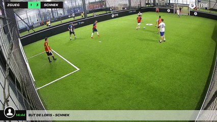 But de loris - schnek