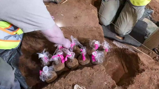 Perfectly preserved: Archaeologists uncover 250 year-old fruits in George Washington’s home