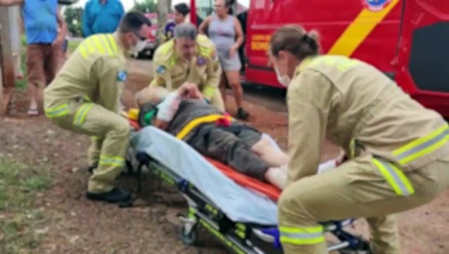 Pitbull é morto após ataque brutal contra moradores no Interlagos