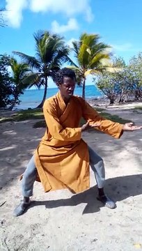 Tai chi master d himmoris Martinica