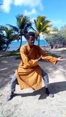 Tai chi master d himmoris Martinica