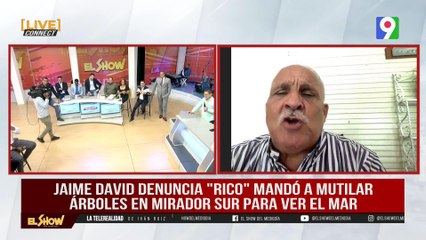 Jaime David: “Turpén manda a cortar árboles para ver el mar” | El Show del Mediodía