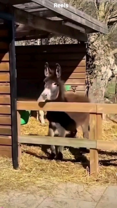 Un site qui va te sauver la vie si tu fais souvent des fautes d'orthographes (et il est gratuit)