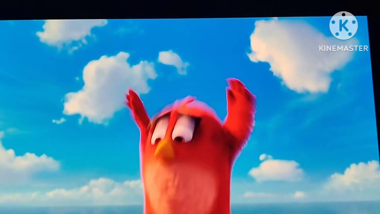 The Adventures of the Angry Birds: A Tale of Co...