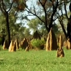 He Felt Fearful 😨