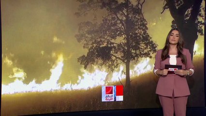 موسم الحرائق يبدأ مبكرا في مناطق مختلفة من العالم