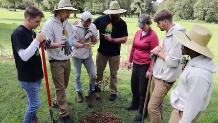 Planting 20,000,000 Trees, My Biggest Project Ever