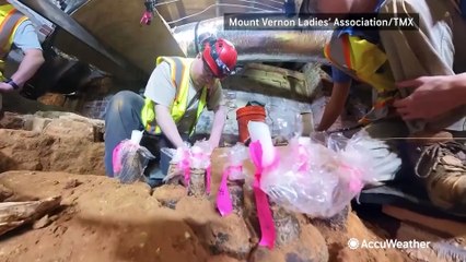 Perfectly preserved bottled cherries unearthed in George Washington's home