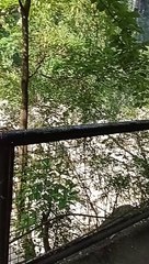 Wawa Dam (Montalban Rizal)