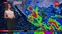 El clima para este 19 de junio de 2024, con Sandy Tok