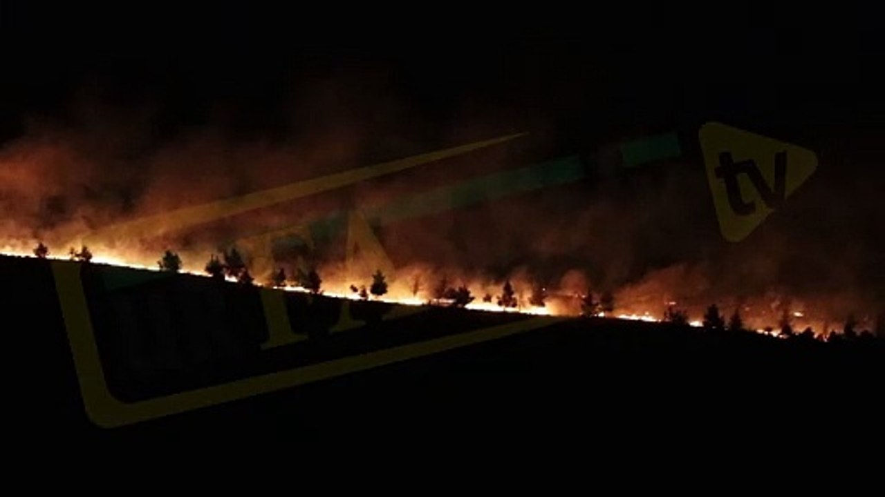 Şanlıurfa’da büyük orman yangını! Geceyi alevler aydınlattı