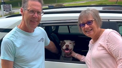 Pittie Has Two VERY Different Personalities