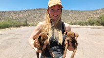 Filmmakers Decide To Rescue Lost Puppies While Abroad