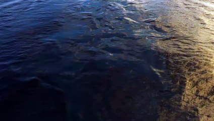 Doctor Odyssey | show | 0 | Official Teaser