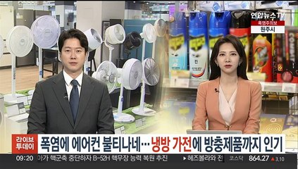 폭염에 에어컨 불티나네…냉방 가전에 방충제품까지 인기