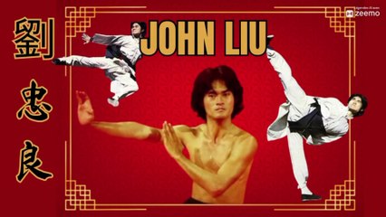 JOHN LIU CHUNG LIANG ✓ El Dragón Volador . KungFu Karate Taekwondo ESPAÑOL SUBS FRANCES