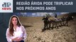 Mudanças climáticas podem criar primeiro deserto no Brasil; Patrícia Costa analisa