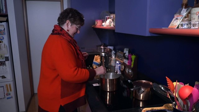 ACT could ban Canberrans from buying new gas appliances