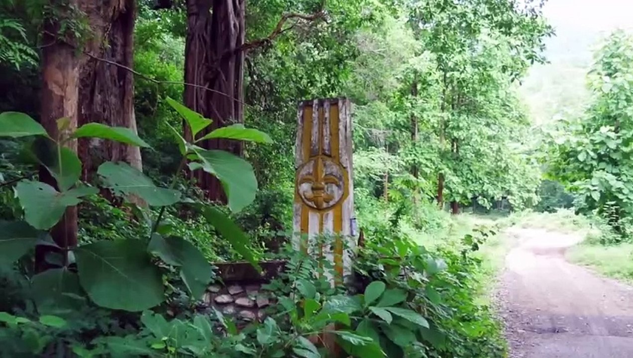 Da, wo der Kaffee wächst... Kaffeeanbau der Karen, direkt bei mir um die Ecke! #Thailand #Kaffee