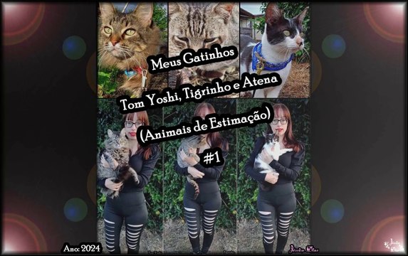 Meus Gatinhos Tom Yoshi, Tigrinho e Atena (Animais de Estimação) - #1