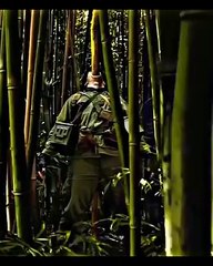 Hollywood movie best dangerous short scene  __ (_Bre_Petrunko_) __ #status #shorts #hollywoodmovie