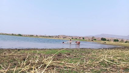 Kids Enjoying at dam