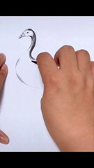 How to draw a beautiful duck