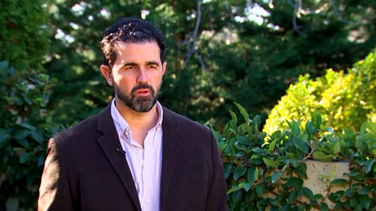 Activists smash windows and light fire in 'politically motivated' attack on Labor MP's office