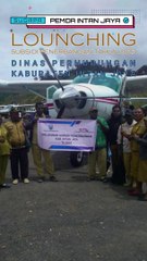 INTAN JAYA - DINAS PERHUBUNGAN Lounching Subsidi Penerbangan