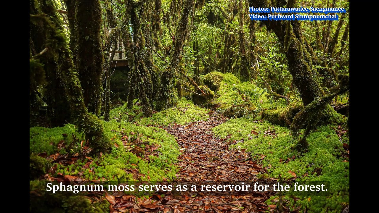 A biodiverse treasure