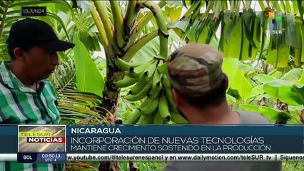 En Nicaragua la llegada del invierno eleva las proyecciones de cultivo