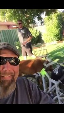 Funny Fails - #funny #funnyfails #funnyvideo #humor #humour #humormemes #memes #memesvideo #fails