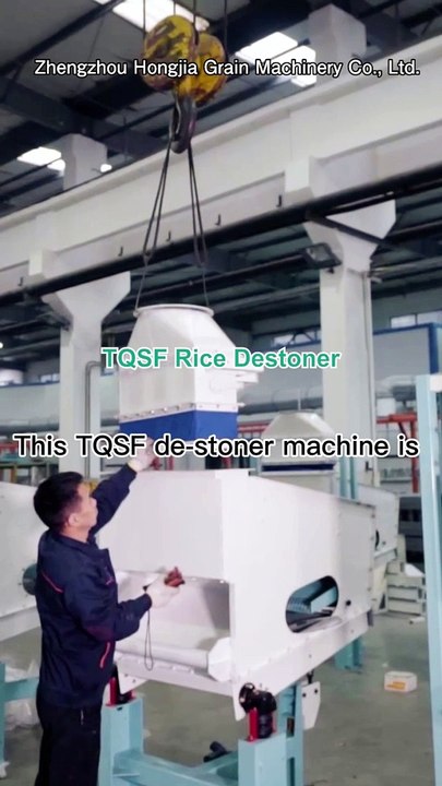 Rice Stone Removing Machine in Rice Mill Plant #destoner #ricemillmachine #destoner #ricemill