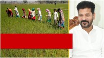 రైతు రుణ మాఫీపై కీలక నిర్ణయం.. రెండు నెలల్లోనే పూర్తి..! | Oneindia Telugu
