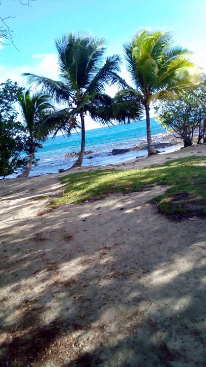 Himmoris moine bouddhiste en Martinica.