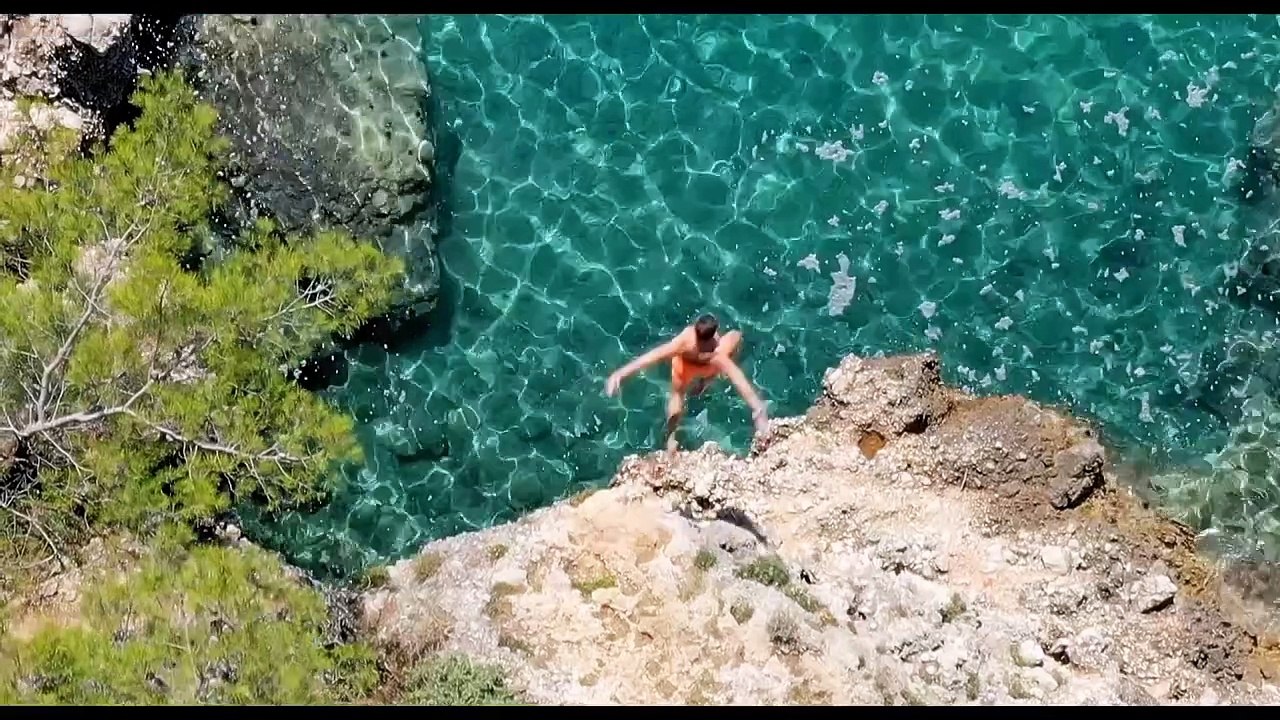 Flycatcher - Survival Has Its Price Trailer DF