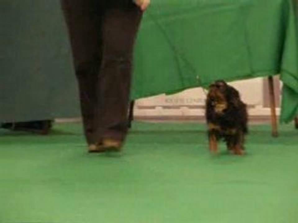 Aude Pluie D'Eté De La Rivieroise