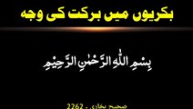 Bakriyon mein barkat ki wajah | Sahih Bukhari Hadees in urdu