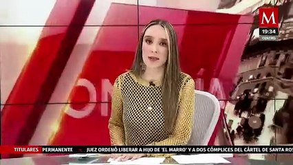 El bloqueo a la exportación de aguacate puede generar pérdidas de hasta 60 mdd por día