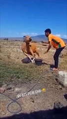 Funny funny videos comedy scenes 