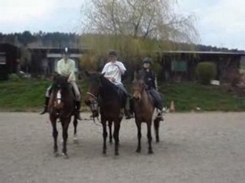 séance cheval samedi trop cool