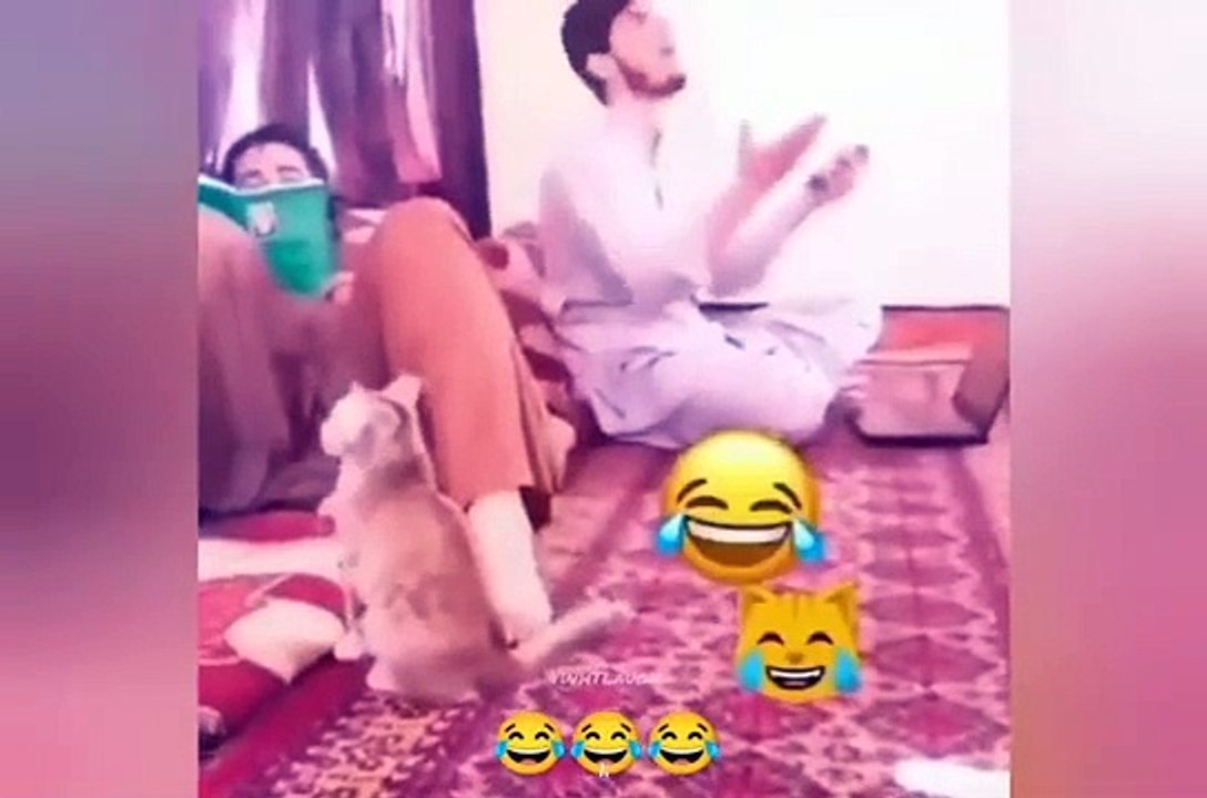Arab funny clips