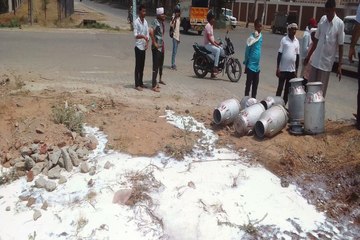 शुद्ध आहार, मिलावट पर वार: नकली दूध कराया नष्ट, देखें वीडियो 