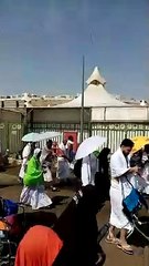 #Hajj 2024 pakistn Hajj Volunteer Group KSA Hajaj ko gide krty huy