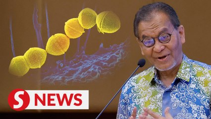 M'sia to seek WHO input on Japan 'flesh-eating' bacteria outbreak, says Dzulkefly