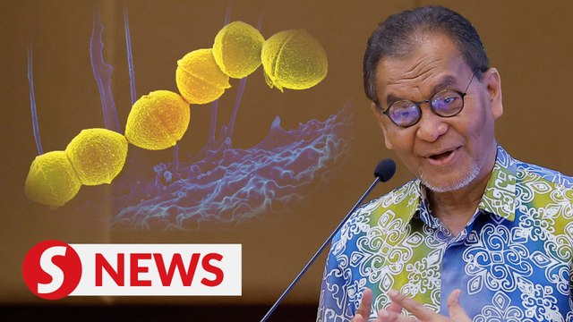 M'sia to seek WHO input on Japan 'flesh-eating' bacteria outbreak, says Dzulkefly