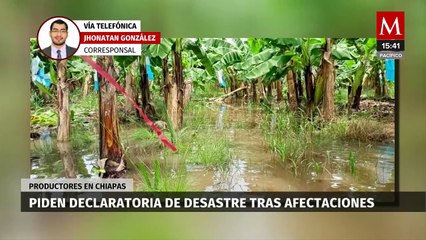 Productores agrícolas de Chiapas piden declaratoria de desastre tras el paso del ciclón 'Alberto'