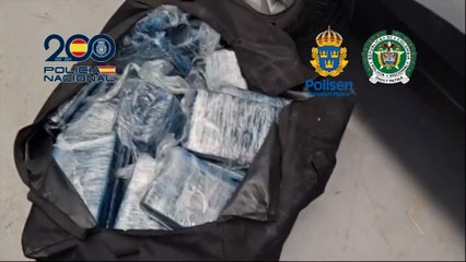 Detenidos 12 miembros de un grupo criminal tras detectar un contenedor con 100 kilos de cocaína en Fuenlabrada