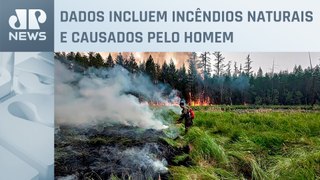 Quase 200 milhões de hectares foram queimados entre 1985 e 2023 no Brasil