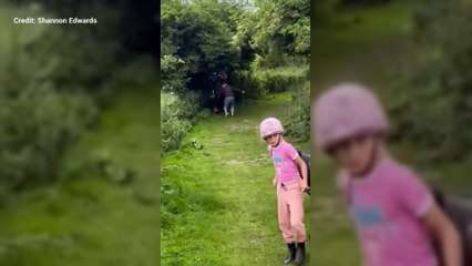 Horse spooked by dog at Riverside Country Park in GIllingham